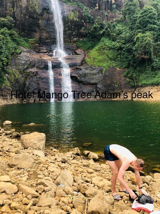 Hotel Mango Tree Nearest Adam'S Peak نالاثانيا المظهر الخارجي الصورة