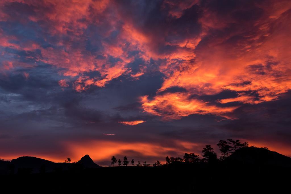 Hotel Mango Tree Nearest Adam'S Peak نالاثانيا المظهر الخارجي الصورة