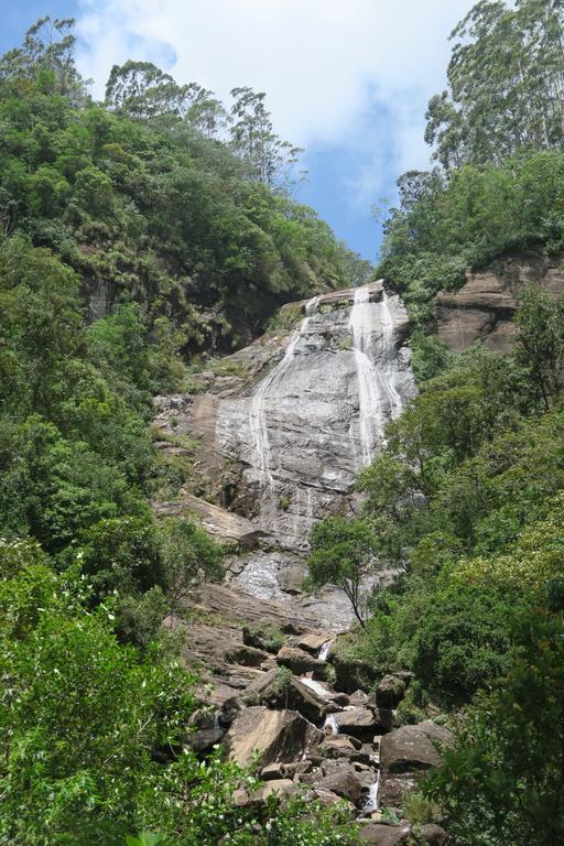 Hotel Mango Tree Nearest Adam'S Peak نالاثانيا المظهر الخارجي الصورة