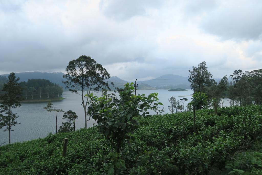 Hotel Mango Tree Nearest Adam'S Peak نالاثانيا المظهر الخارجي الصورة