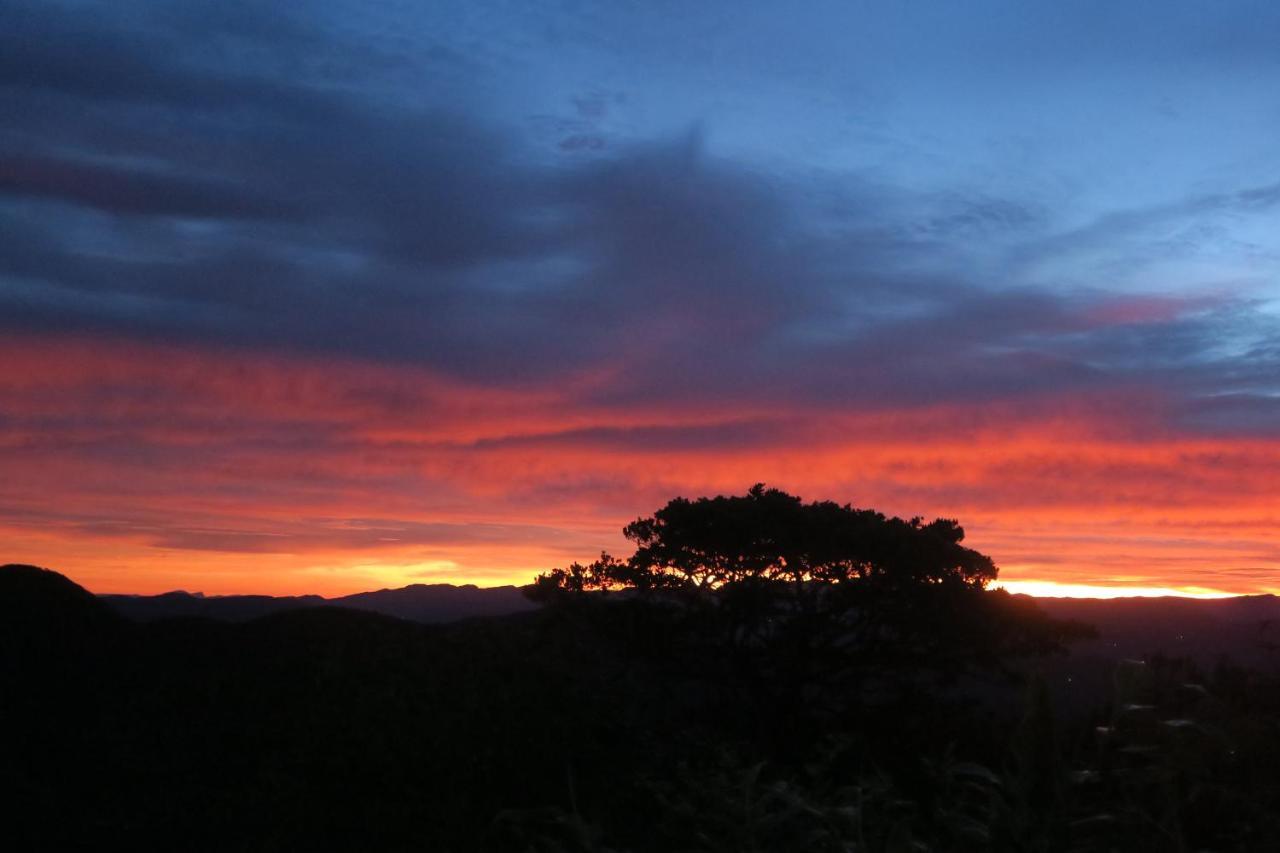 Hotel Mango Tree Nearest Adam'S Peak نالاثانيا المظهر الخارجي الصورة